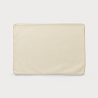 Laptop Slip
