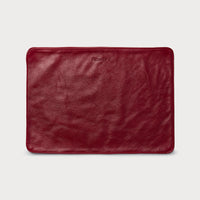 Laptop Slip
